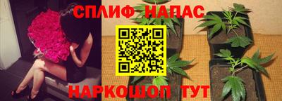дживик Донской