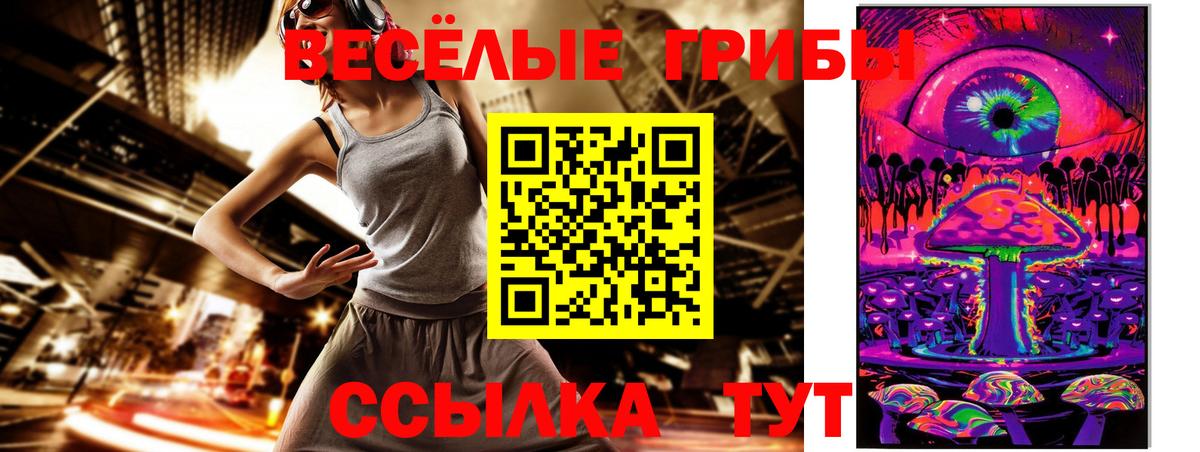 Галлюциногенные грибы Psilocybine cubensis Лиски